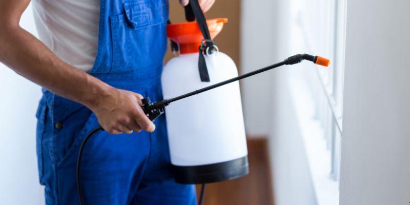 Como fazer dedetização em casa em Franca