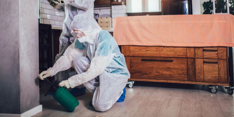 Dedetização em Apartamento Como Funciona em Franca: Confira 4 Passos