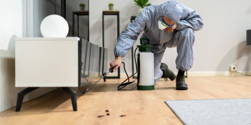 Quanto tempo dura uma dedetização em Franca?